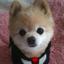 ����� ����ô������ô�ɰ�