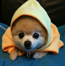 ����� ����ô������ô�ɰ�