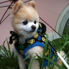 ����� ����ô������ô�ɰ�