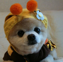 ����� ����ô������ô�ɰ�