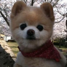 ����� ����ô������ô�ɰ�