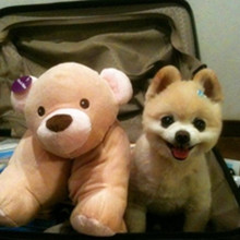 ����� ����ô������ô�ɰ�