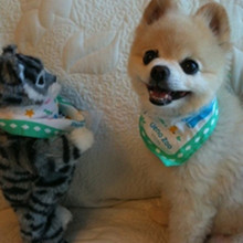 ����� ����ô������ô�ɰ�