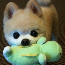 ����� ����ô������ô�ɰ�