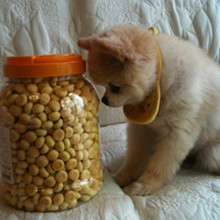 ����� ����ô������ô�ɰ�