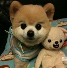 ����� ����ô������ô�ɰ�