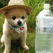 ����� ����ô������ô�ɰ�