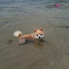 ����� ����ô������ô�ɰ�