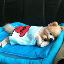 ����� ����ô������ô�ɰ�