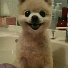 ����� ����ô������ô�ɰ�