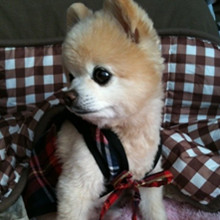 ����� ����ô������ô�ɰ�