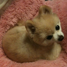 ����� ����ô������ô�ɰ�