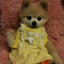 ����� ����ô������ô�ɰ�