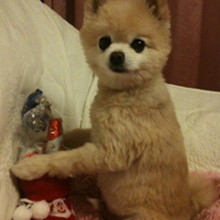 ����� ����ô������ô�ɰ�