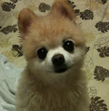 ����� ����ô������ô�ɰ�