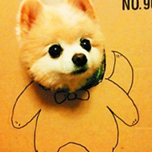 ����� ����ô������ô�ɰ�