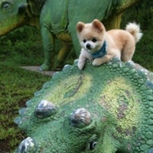 ����� ����ô������ô�ɰ�