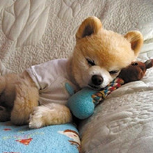 ����� ����ô������ô�ɰ�