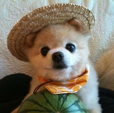 ����� ����ô������ô�ɰ�