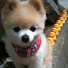 ����� ����ô������ô�ɰ�