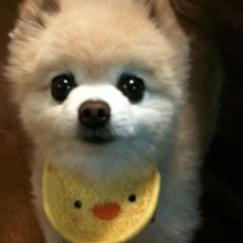 ����� ����ô������ô�ɰ�