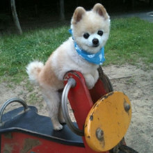 ����� ����ô������ô�ɰ�