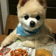 ����� ����ô������ô�ɰ�