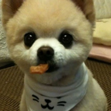 ����� ����ô������ô�ɰ�