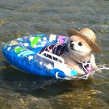 ����� ����ô������ô�ɰ�