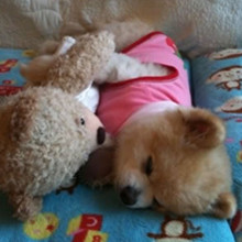 ����� ����ô������ô�ɰ�