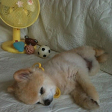 ����� ����ô������ô�ɰ�