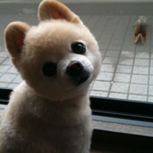 ����� ����ô������ô�ɰ�