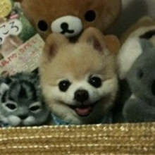 ����� ����ô������ô�ɰ�