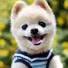 ����� ����ô������ô�ɰ�