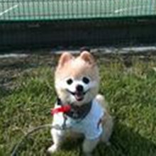 ����� ����ô������ô�ɰ�