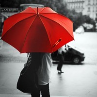 �ҵ��Լ�ϲ�����ĸ���