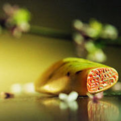 ���̫���߰��Ļ���