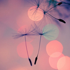 ���̫���߰��Ļ���