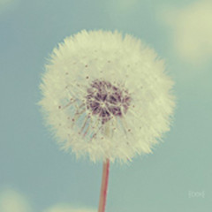 ���̫���߰��Ļ���