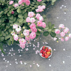 ���̫���߰��Ļ���