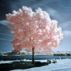 ���̫���߰��Ļ���