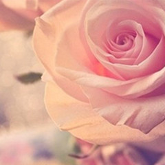 ���̫���߰��Ļ���