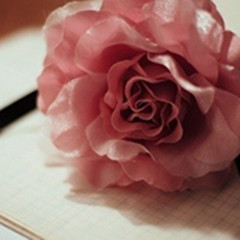 ���̫���߰��Ļ���