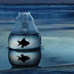 ���̫���߰��Ļ���