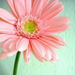 ���̫���߰��Ļ���