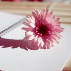 ���̫���߰��Ļ���