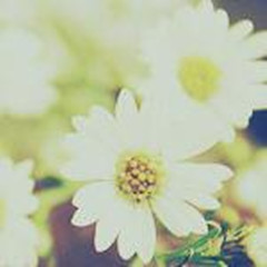 ���̫���߰��Ļ���