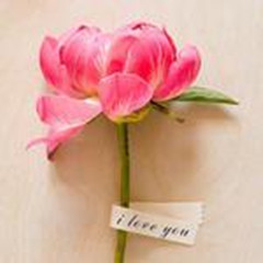 ���̫���߰��Ļ���