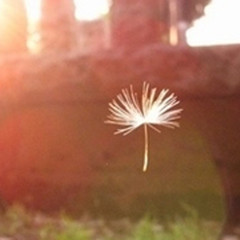 ���̫���߰��Ļ���