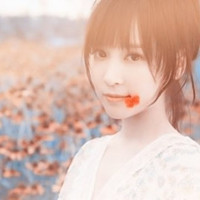 Ψ����ÿһ������ Ҳ�����ϲ��